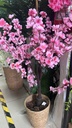 Arbol de Flores Sakura para Decoración 1 metro modelo 2