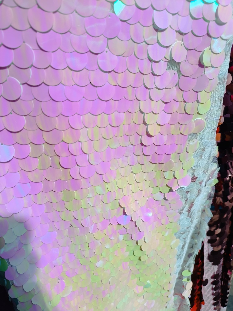 tela lentejuela moneda premium